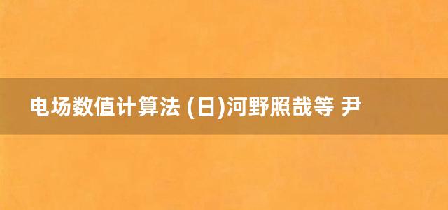 电场数值计算法 (日)河野照哉等 尹克宁译